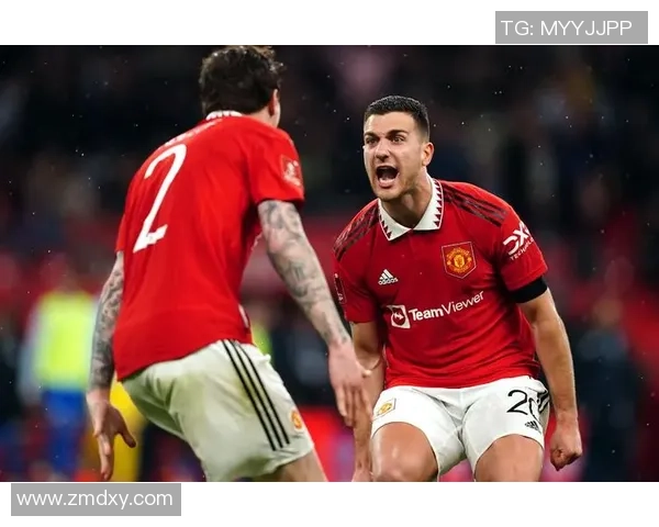 英超精彩对决里昂战平AC米兰绝杀瞬间点燃全场激情