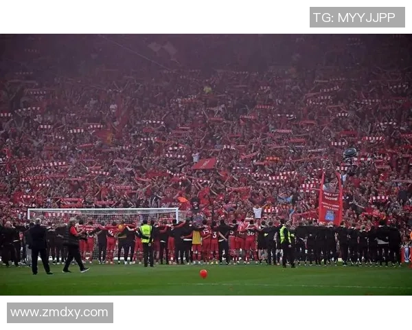 世界杯热刺与利物浦激战成平局数据分析揭示比赛精彩瞬间