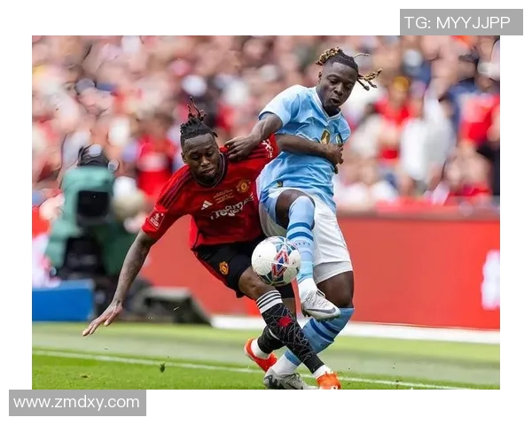 足总杯经典对决利物浦逆转热刺帽子戏法点燃全场激情